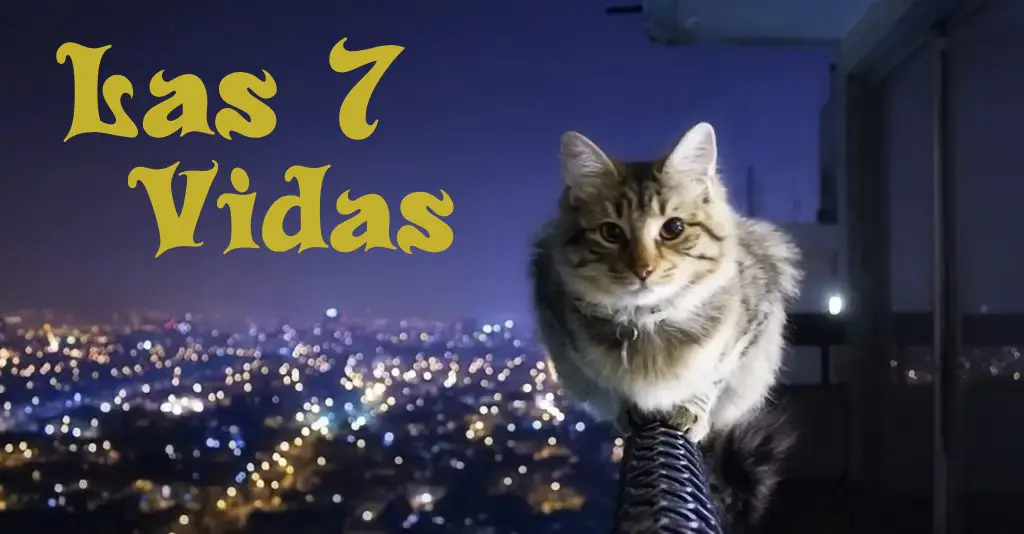 Gato 7 vidas