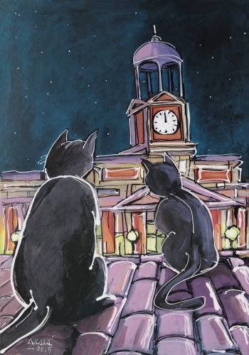 Adoptar un gato en Madrid Catedral