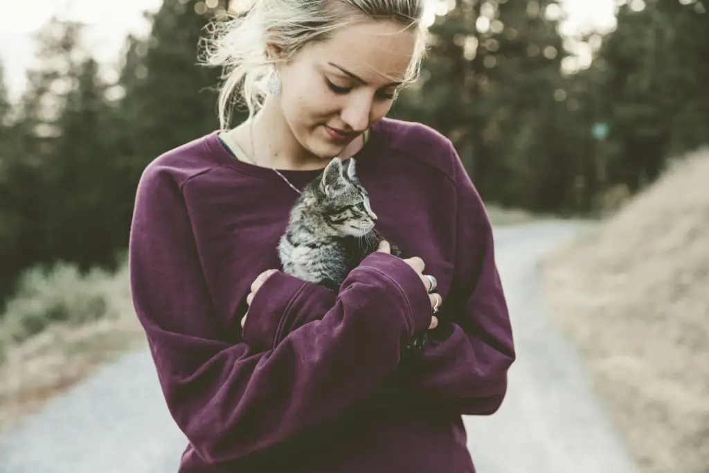 Adoptar un Gato en Madrid Conclusión