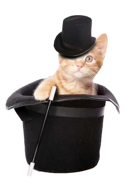 Gato escapista