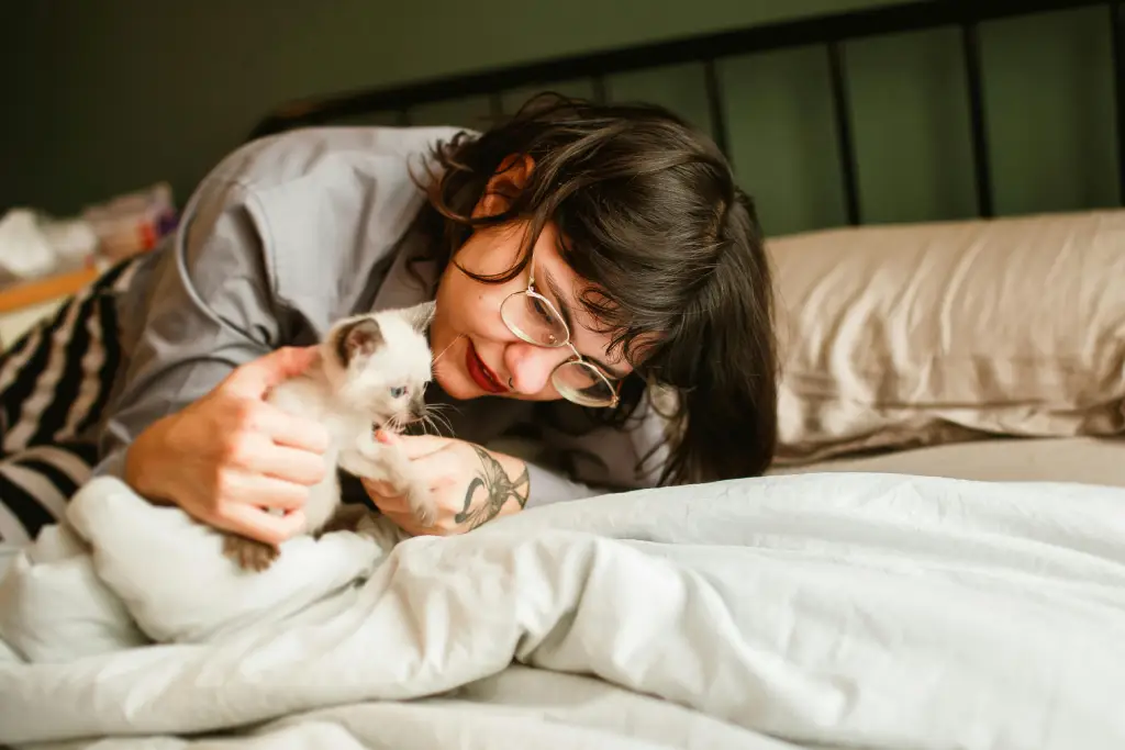 Gatito en la cama